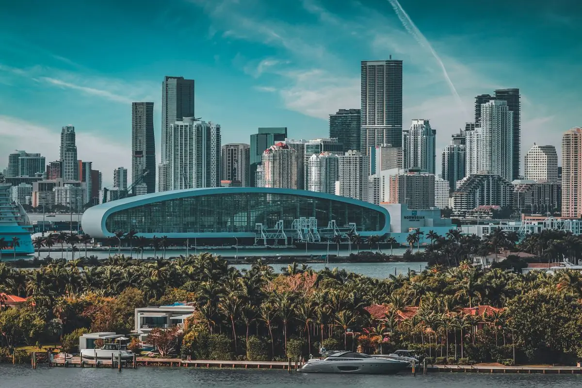 Miami skyscrapers and waterfront palm trees